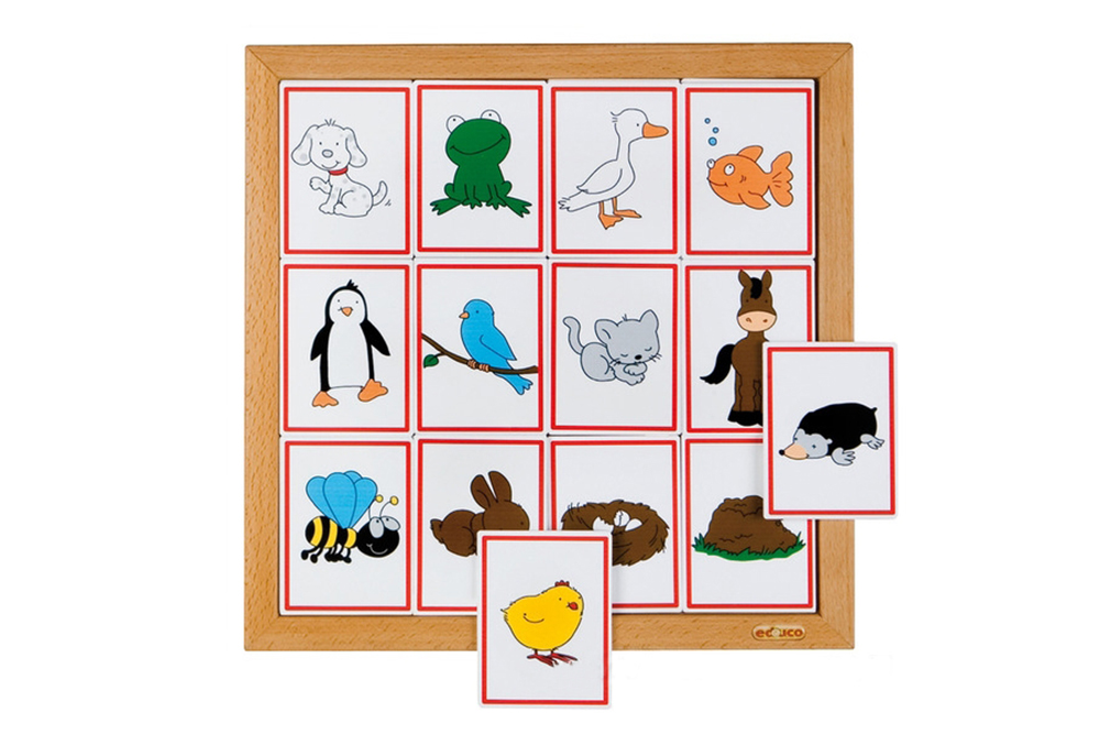 educo 動物邏輯線索系列-動物住家組