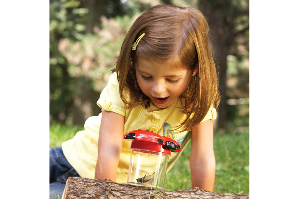 超大昆蟲觀察杯