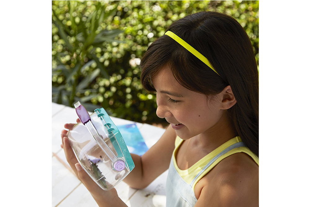 昆蟲觀察養殖箱