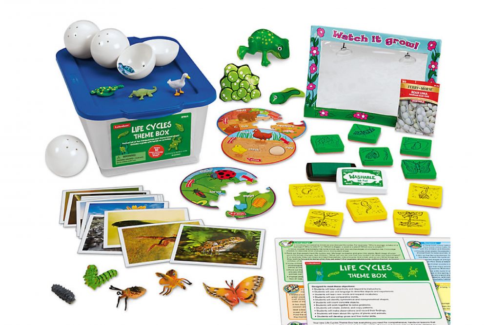 主題教學2-生命循環