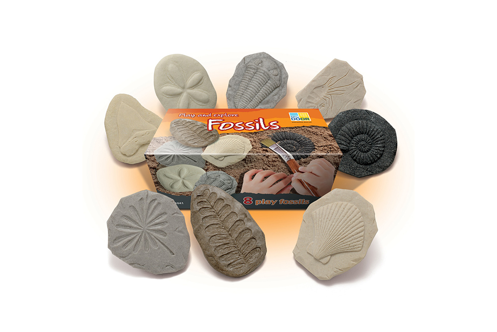 Yellow Door 探索系列-遠古化石