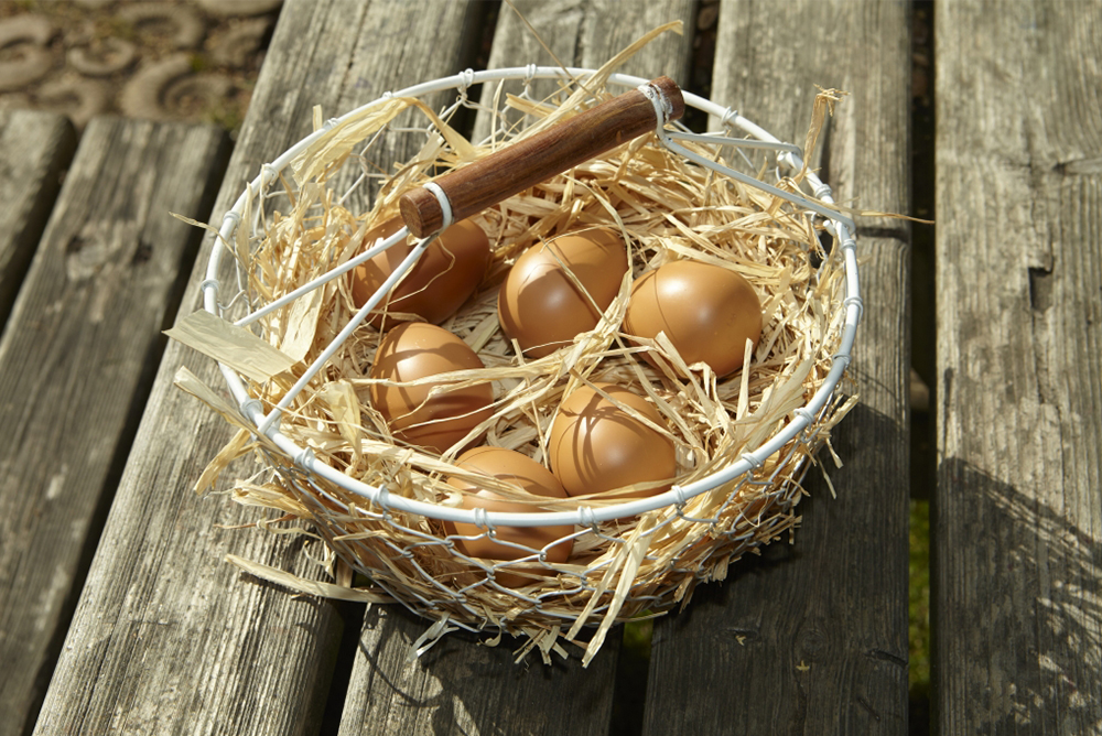 Yellow Door 石頭蛋