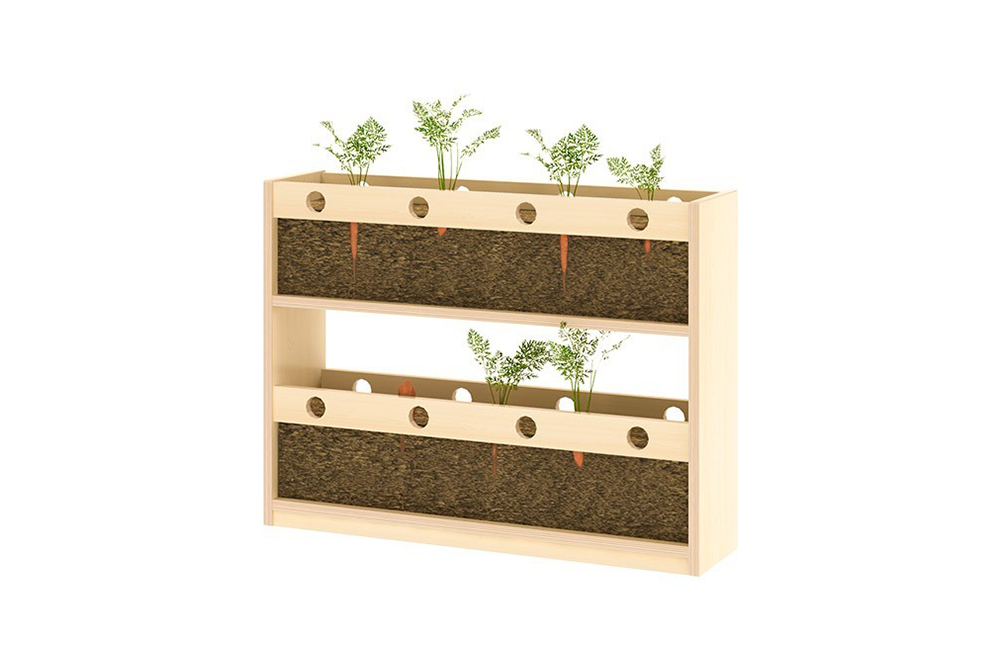 室內根部觀察牆板