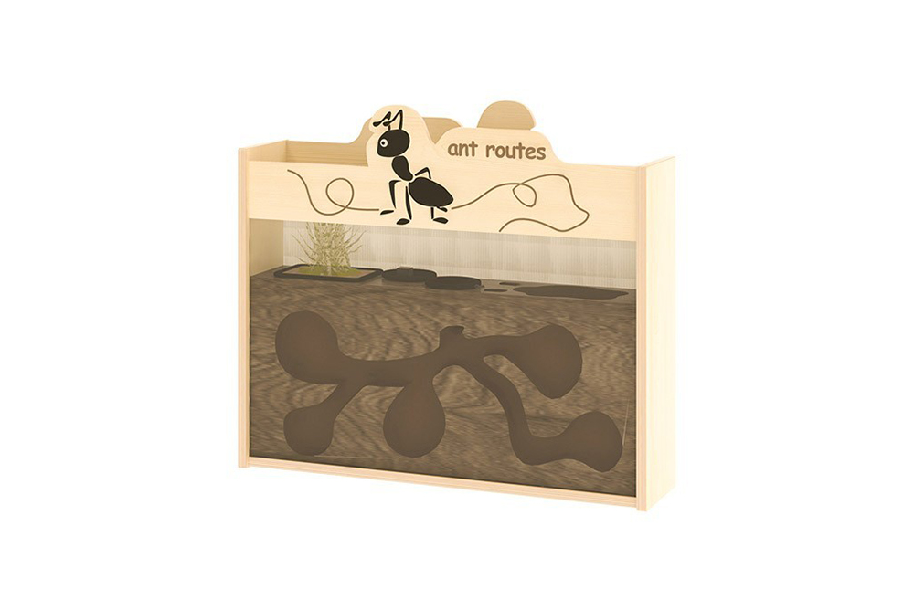 室內螞蟻養殖箱