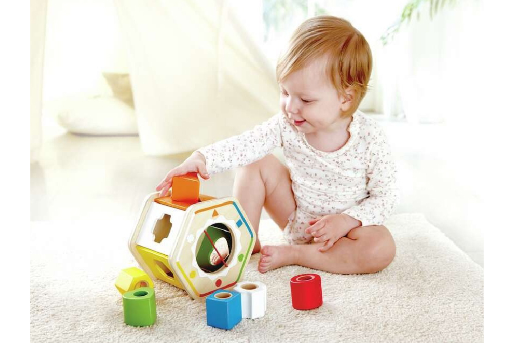 德國 Hape 多彩分類積木盒